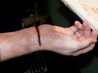/album/photogallery/image-2-jpg2/